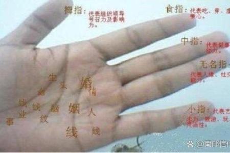 揭秘男手相：这五个特征暗示易有外遇