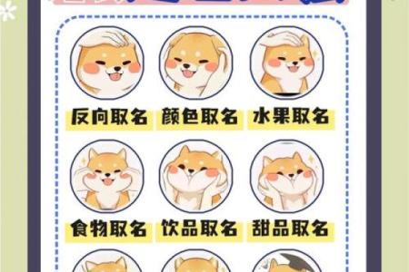 精选母狗起名大全，打造专属宠物身份