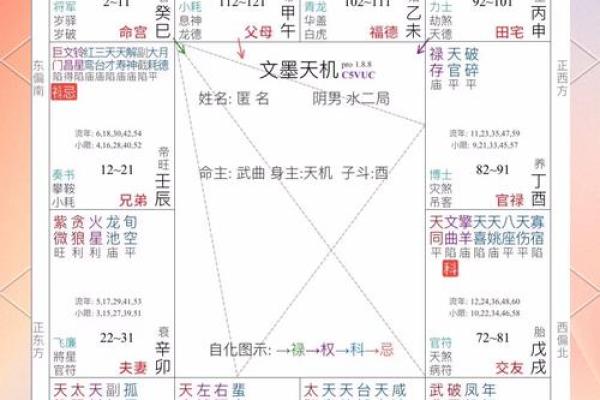瓷都算命网排盘全解析，帮助你轻松掌握命运的秘密