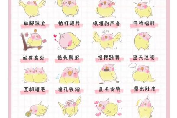 为宠物起个鸟名字，让生活更加有趣