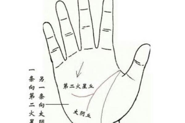 揭秘手相中的凤眼之谜：你的命运密码竟藏于此