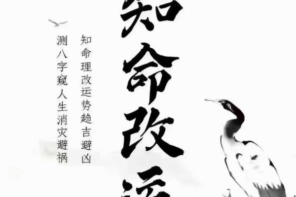 为什么粤字五行如此独特？命理专家为你揭秘