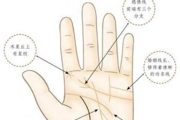 揭秘男性左手手相全解：财运、健康、性格一网打尽