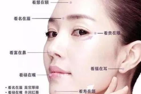 细脖长颈，财运亨通：揭秘面相中的富贵特征