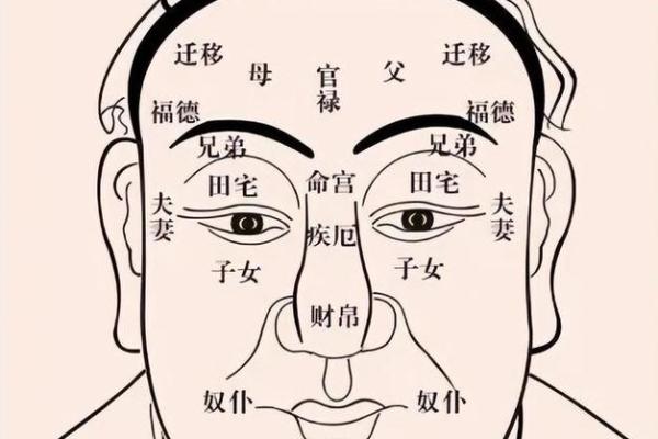 细脖长颈，财运亨通：揭秘面相中的富贵特征