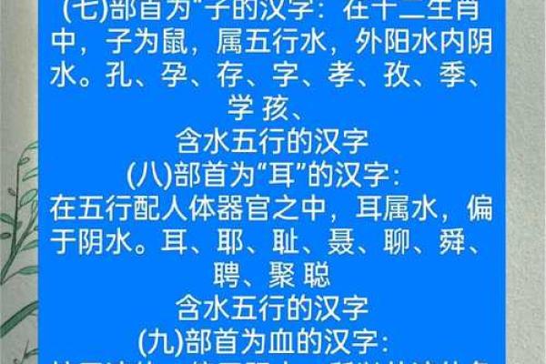 沣字五行分析：揭示深藏的五行属性