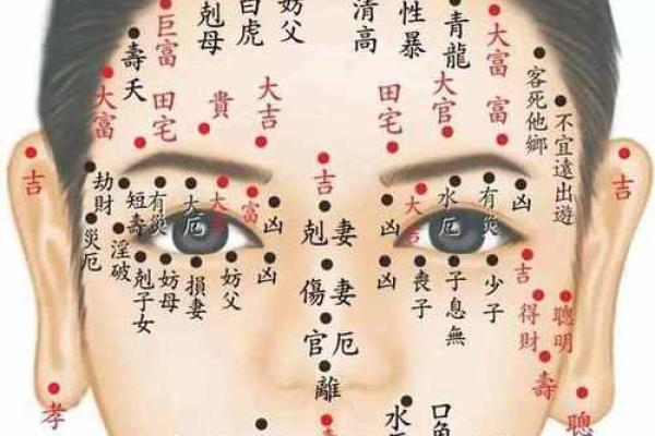 痣相算命新潮流：胸部痣相，揭秘你的运势
