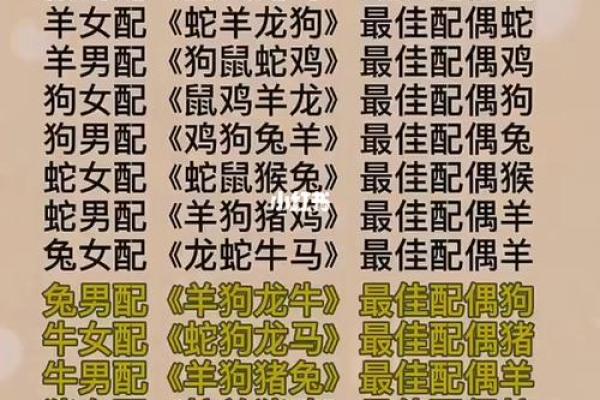 生肖情侣必看12大生肖配对指数排行榜
