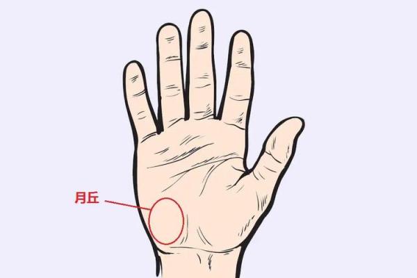 揭秘掌中风水：100个不可不知的掌相秘密，改运从此开始