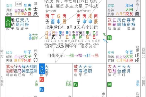 免费紫微斗数排盘解析：如何通过命盘看透未来