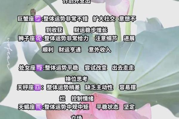 12星座揭秘农历十二月十四，揭秘你的星座运势