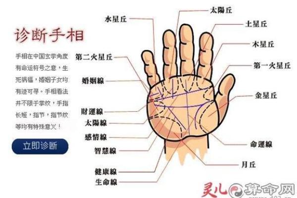 手相揭秘：一招识破婚姻状况，离婚迹象竟藏于此