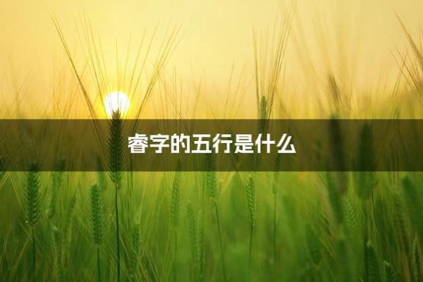 睿字五行分析，揭秘其深层含义