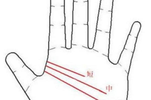 手相揭秘：波浪智慧线预示的神秘人生轨迹