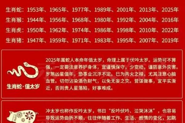 伤官合命：揭秘人生运势的神奇密码
