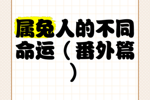 鼠兔缘分，命中注定？