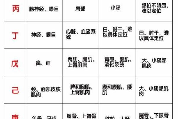 日天干查询必知的关键点
