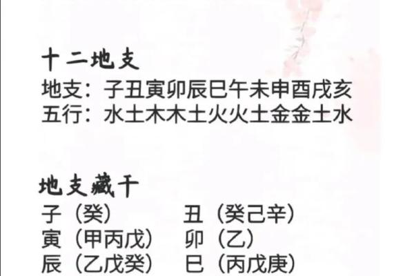 丙字五行分析：它属于什么