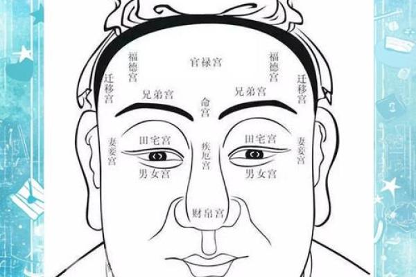 揭秘面相：一眼看穿命运，你的运势密码藏在这张脸上