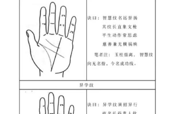 手相纹路复杂揭秘：命运密码大揭秘