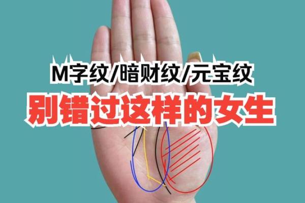 一招看手相，揭秘财运亨通的秘密，元宝在手，富贵不愁