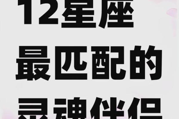 12星座指南：解锁你的星座秘密，找到你的灵魂伴侣