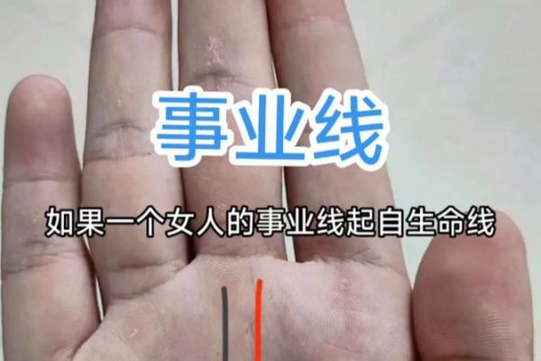 揭秘：手相命运线的神秘所在，一招看穿人生运势