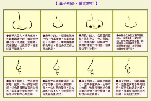 面相大师亲授：揭秘12种好面相，财运亨通、福泽深厚
