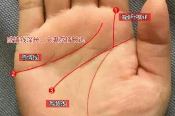 手相揭秘：掌握这3个秘密，一眼看穿配偶经济实力
