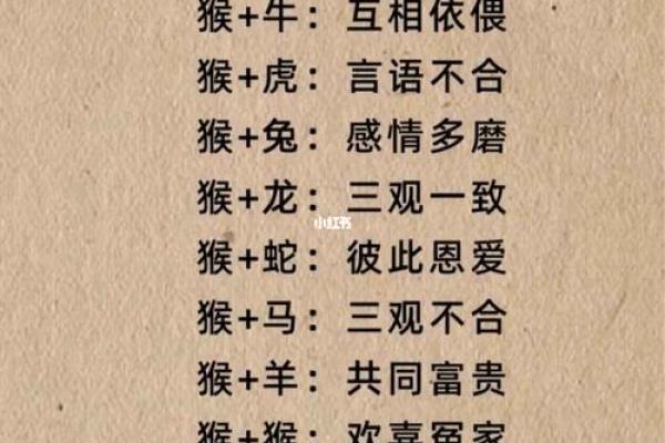 亲子属相相配大揭秘：为孩子挑选最佳父母属相