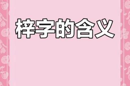 梓字的五行属性：探索它对你生活的深远影响