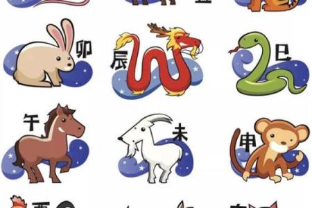 龙凤呈祥，属相传奇