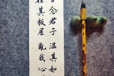 揭秘命运之谜：元命真谛，助你掌控人生
