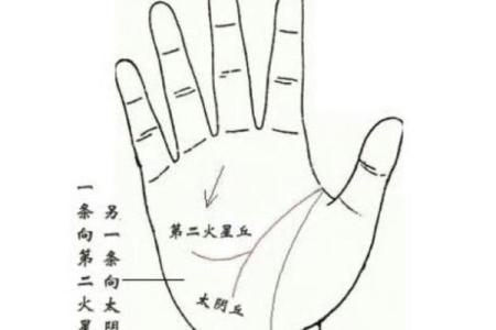揭秘手相中的凤眼之谜：你的命运密码竟藏于此