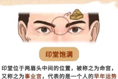 识人于面，揭秘面相三关绝技，助你一眼辨真伪