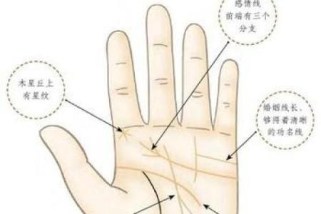 揭秘男性左手手相全解：财运、健康、性格一网打尽