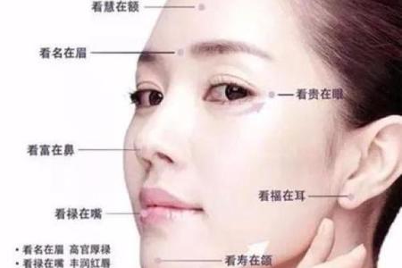细脖长颈，财运亨通：揭秘面相中的富贵特征