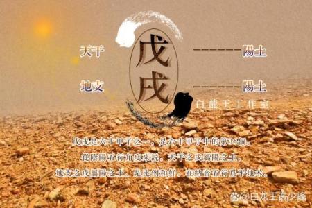 掌握天干吉时，让你的每一天都充满好运！