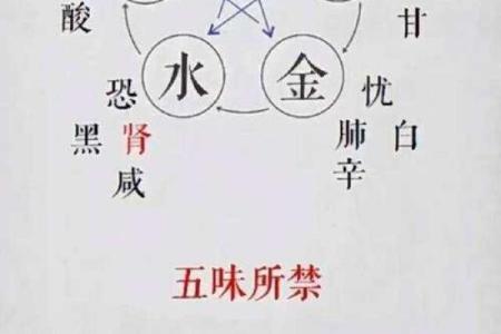 探索五行：让你了解古代哲学中的五行力量