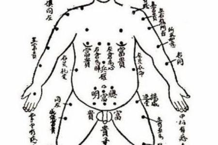 痣相算命新潮流：胸部痣相，揭秘你的运势