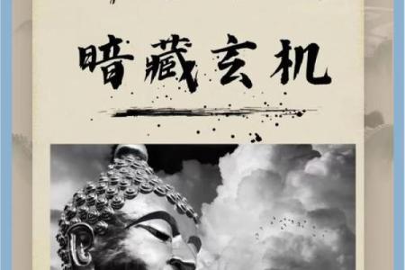 十二生肖佛缘揭秘：生肖运势大揭秘，揭秘生肖背后的神秘佛缘