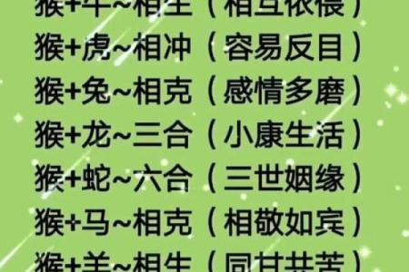 猪兔配对：缘分还是巧合？