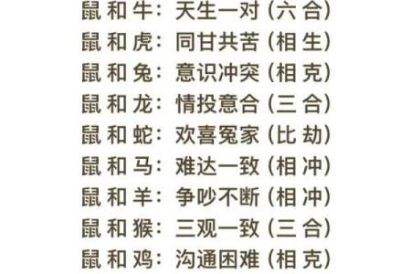 生肖情侣必看12大生肖配对指数排行榜
