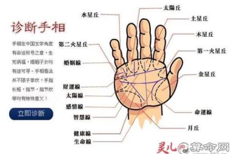 手相揭秘：一招识破婚姻状况，离婚迹象竟藏于此