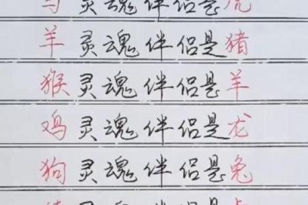 生肖配对宝典：揭秘最适合你的另一半
