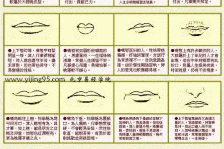 面相解析：揭秘面部表情背后的情感密码