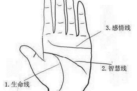 手相揭秘：波浪智慧线预示的神秘人生轨迹