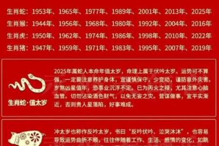 伤官合命：揭秘人生运势的神奇密码