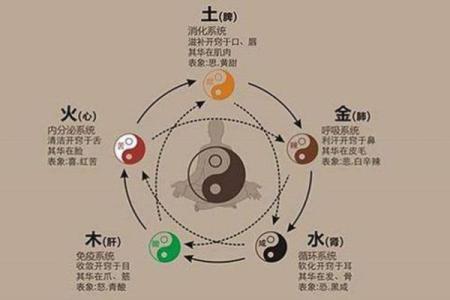从八字看命运：解锁你一生的运程与机遇