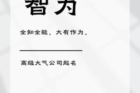 如何给公司起一个独特的名字 避免重名的最佳策略